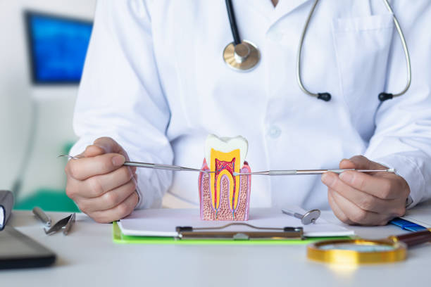 Best Emergency Dentist for Lost Fillings or Crowns in Spencer, IN